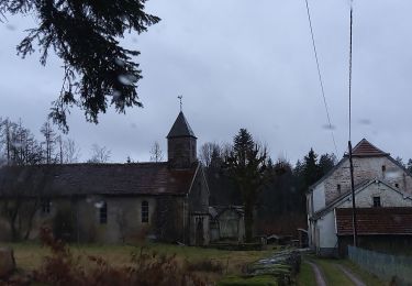 Tour 4x4 Fresse - 06-02-22 Chevestraye-abbaye mont de vannes-route du Cugnot - Photo