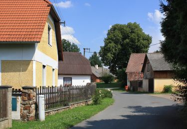 Tour Zu Fuß Dobřív - [Ž] Svojkovice - Dobřív - Photo