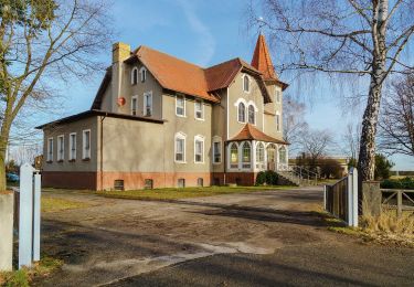 Tocht Te voet Laußig - Kögelwanderweg - Photo