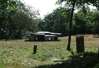 Excursión Senderismo Le Poujol-sur-Orb - Du Poujol-sur-Orb à la Forêt Domaniale des Écrivains Combattants - Photo