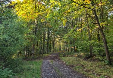 Trail Walking Romanswiller - Heidenschloss - Cascade Mencke via Bischofslaeger - Photo