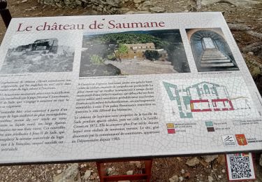 Trail Walking Saumane-de-Vaucluse - saumane et ses environs - Photo