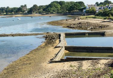 Excursión Senderismo Larmor-Baden - De la plage du Berchis au village de Mériadec en aller-retour - Photo