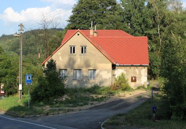 Excursión A pie Tanvald - [Ž] Dolní Smržovka - Příchovice - Photo