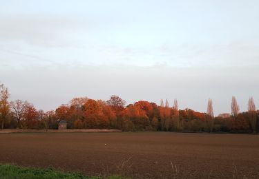 Randonnée Marche Belœil - Wapi - Promenade du Château de Beloeil - 50 - Photo