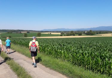 Excursión Senderismo Heimsbrunn - Heimsbrunn  - Photo