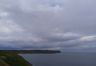 Excursión Senderismo Plévenon - Fort La Latte au Cap Fréhel - Photo