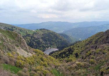 Tour Wandern Metzeral - 2023-05-20 Marche Lac Fischboedle vers Firstmiss - Photo