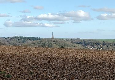 Trail Walking Tannières - Tannières du 04-03-2024 - Photo