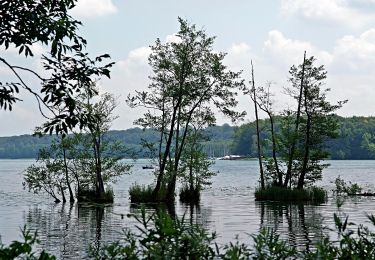 Trail On foot Joachimsthal - Rundwanderweg Werbellinsee - Photo