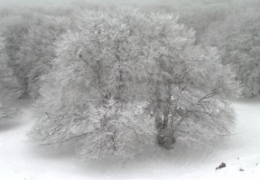 Percorso A piedi Isnello - Sentiero C - Photo