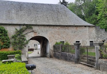 Tocht Stappen Havelange - TOUR OSSOGNE-HAVELANGE-BORMENVILLE-MAHILOUX-OSSOGNE - Photo