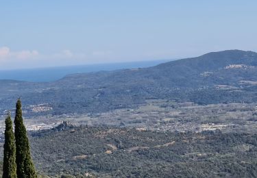 Trail Walking La Garde-Freinet - La garde freinet - Notre Dame de Miremer - Photo