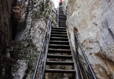 Tocht Stappen La Palud-sur-Verdon - le sentier Blanc Martel (Gorges du Verdon ) - Photo