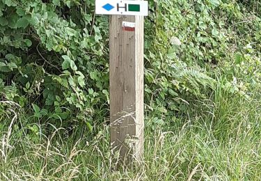 Tour Wandern Havelange - offoux ac 4 - Photo