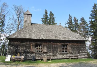 Tour Zu Fuß Thalgau - Kolomanskirche Rundweg - Photo