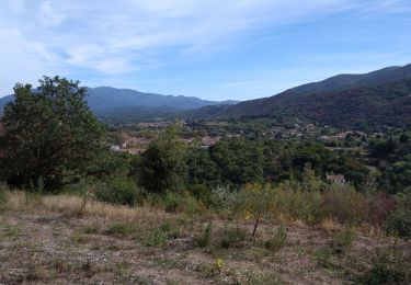 Trail Walking Céret - le ventous ceret - Photo