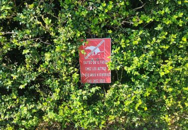 Trail Walking Le Truel - brousse le château  - Photo
