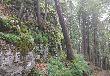 Randonnée Marche Bellefontaine - Des lacs de Bellefontaine vers le belvédère de la roche Bernard. - Photo