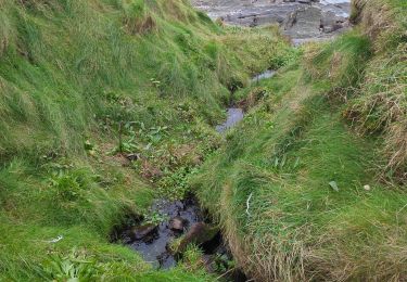 Randonnée Marche West Cork - toe head and cliffs - Photo