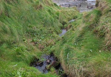 Trail Walking West Cork - toe head and cliffs - Photo