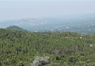 Tour Wandern Fréjus - z la route du Malpey  19-06-18 - Photo