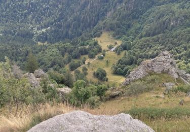 Tour Wandern Xonrupt-Longemer - Pic du Hohneck - Photo