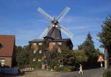 Tour Zu Fuß Meldorf - Wanderwege in und um Meldorf Tour 14 - Photo