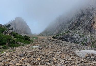 Trail Walking Saint-Agnan-en-Vercors - directissime Veymont - Photo