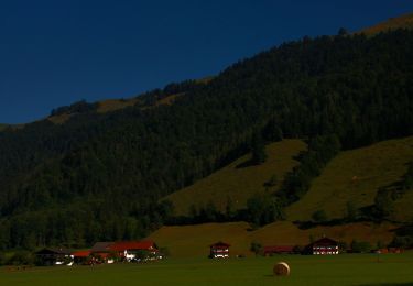 Trail On foot Gemeinde Walchsee - Wanderweg 55 - Kaiserwinkl - Photo