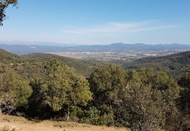 Percorso Marcia Roquebrune-sur-Argens - ROQUEBRUNE SUR ARGENS - A L'OUEST DE LA FLUTE - Photo