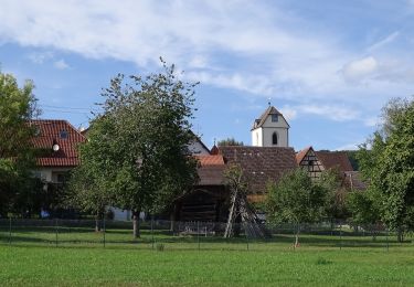 Percorso A piedi Ammerbuch - Schönbuchspitzrunde - Photo