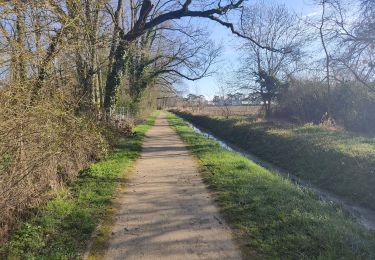 Randonnée Marche Gif-sur-Yvette - La vallée de la Mérantaise - Photo