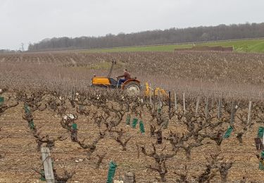 Percorso Marcia Chançay - 2019.02.28-9,3km-Chançay - Photo