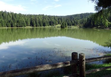 Tour Zu Fuß Borgo d'Anaunia - IT-O512 - Photo