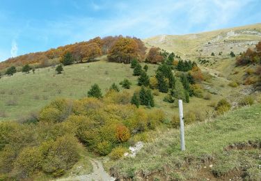 Tour Wandern Saint-Théoffrey - chollonge villard saint Christophe  - Photo