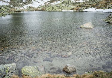 Tocht Te voet Rascafría - [RV 8] Laguna de los Pájaros - Photo