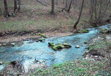 Randonnée A pied Dubie - Ścieżka dydaktyczna w Dolinie Racławki - Photo