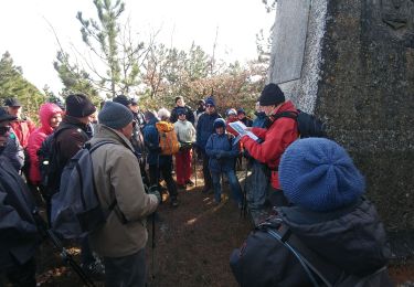 Randonnée Marche Réauville - 20190212 randoAllan Susanne stPancace - Photo