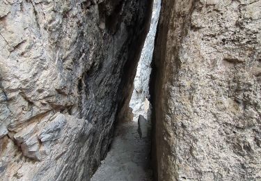 Excursión Senderismo Cortina d'Ampezzo - Cinque Torri via Lago Limedes - Photo