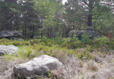 Randonnée Marche Arbonne-la-Forêt - sainte vierge monument 26 mai 19 - Photo