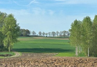 Tocht Stappen Geldenaken - #240408 - Jodoigne, Bois du Haut St Pierre - Photo