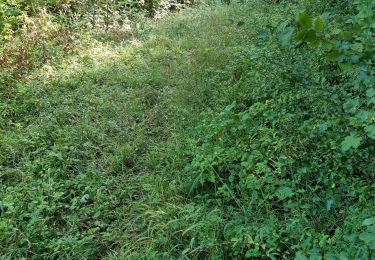 Trail Mountain bike Vouthon-Haut - reco  - Photo