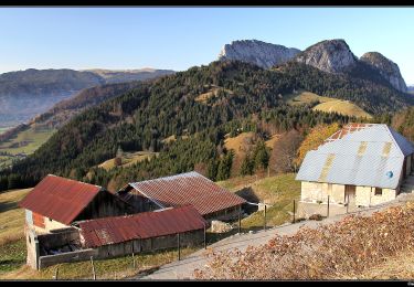 Tocht Stappen Bellecombe-en-Bauges - Crêt du Char - Photo