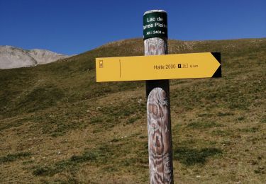 Tocht Stappen Jausiers - lac des terres plaiihes tec - Photo