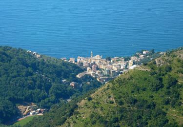 Trail On foot Sori - Sori - Pieve Ligure - Monte S. Croce - Cian da Cola - Monte Cordona - Photo