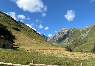 Excursión Senderismo La Plagne-Tarentaise - Col charbonnière, du motet en passant par refuge de la Balme - Photo