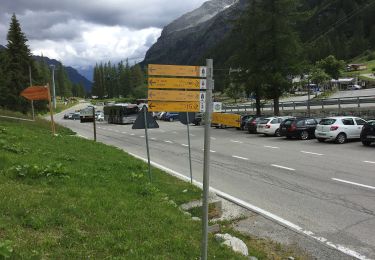 Tour Zu Fuß Gressoney-La-Trinité - Stafal-Colle Salza-Alta Luce/Hochliecht - Photo