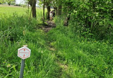 Tour Wandern Lebbeke - Wieze Vossewegelroute - Photo