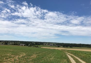 Trail Walking Havelange - Verlée, Buzin, Jeneffe, Verlée  - Photo